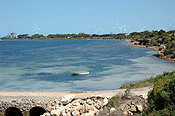 Australia, South Australia, Edithburgh, Windmill, Windmills, Wind farm, beach, beaches, coast, coasts, coastline, coastlines, Wind farms, windpower plants, wind power plant, wind power plants, wind turbine, wind turbines, turbine, turbines, windmill farm, windmill farms, technology, energy, engineering, renewable, renewable energy, rotor, rotor blade, rotor blades, blade, blades
