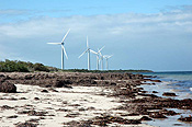 Australia, South Australia, Edithburgh, Windmill, Windmills, Wind farm, beach, beaches, coast, coasts, coastline, coastlines, Wind farms, windpower plants, wind power plant, wind power plants, wind turbine, wind turbines, turbine, turbines, windmill farm, windmill farms, technology, energy, engineering, renewable, renewable energy, rotor, rotor blade, rotor blades, blade, blades