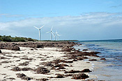 Australia, South Australia, Edithburgh, Windmill, Windmills, Wind farm, beach, beaches, coast, coasts, coastline, coastlines, Wind farms, windpower plants, wind power plant, wind power plants, wind turbine, wind turbines, turbine, turbines, windmill farm, windmill farms, technology, energy, engineering, renewable, renewable energy, rotor, rotor blade, rotor blades, blade, blades