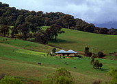 Australia, victoria, vic, wooragee, farm, farms, farming, architecture, house, houses, housing, farmland, farm land, farming land, hill, hills, green hill, green hills, rural, rural scene, rural scenes, tree, trees.