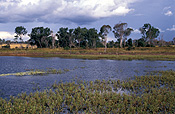 Australia, Qld, Queensland, bundaberg, wetland, wetlands, storm, storms, cloud, clouds, storm cloud, storm clouds, water.