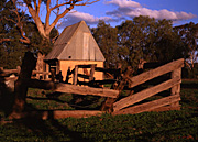 Australia, New South Wales, NSW, Nyngan, farm building, farm buildings, rural scene, rural scenes, rural, fence, fences, architecture, farm, farms, farming, tree, trees, mood, mood scene, mood scenes, hut, huts, barn, barns, shed, sheds.