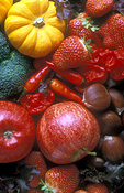 Food, fruit, Vegetable, vegetables, mixed vegetables, mixed fruit, pumpkin, pumpkins, broccoli, chestnut, chestnuts, strawberry, strawberries, apple, apples, malus, red apple, red apples, chili, chilies, chilli, chillies, red chilli, red chillies, brocolli.