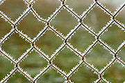 Australia, tas, tassie, tasmania, frost, winter, cold, fence, fences, pattern, patterns.