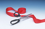 Scissors, pair of scissors, ribbon, ribbons, Royalty Free Image