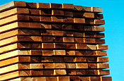 Industry, timber, timber industry, wood, woodpile, woodpiles, plank, planks, pile of wood, piles of wood, logging, logging industry.