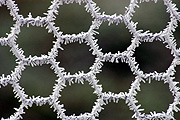 Australia, tas, tassie, tasmania, frost, winter, cold, fence, fences, pattern, patterns.