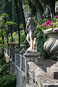 Europe, Italy, italian, Como, Lake, Lake como, lake, lakes, varenna, villa, villas, villa monastero, monastero, garden, gardens, italian garden, italian gardens, Flora, flower, flowers, petunia, petunias.